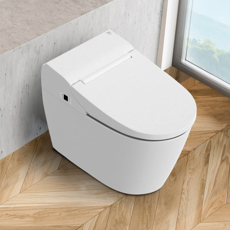 Vovo Bidet Toilet with Auto Flushing – TCB-8100W