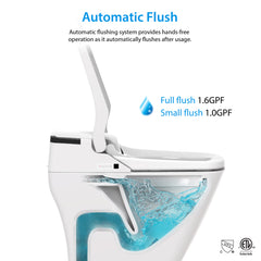 Vovo Bidet Toilet Automatic Flush – TCB-090SA